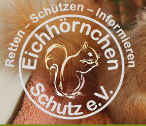 www.eichhoernchen-schutz.de